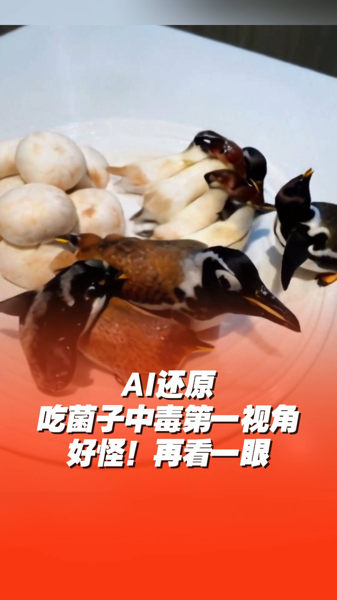 用AI生成視頻還原吃菌子中毒第一視角