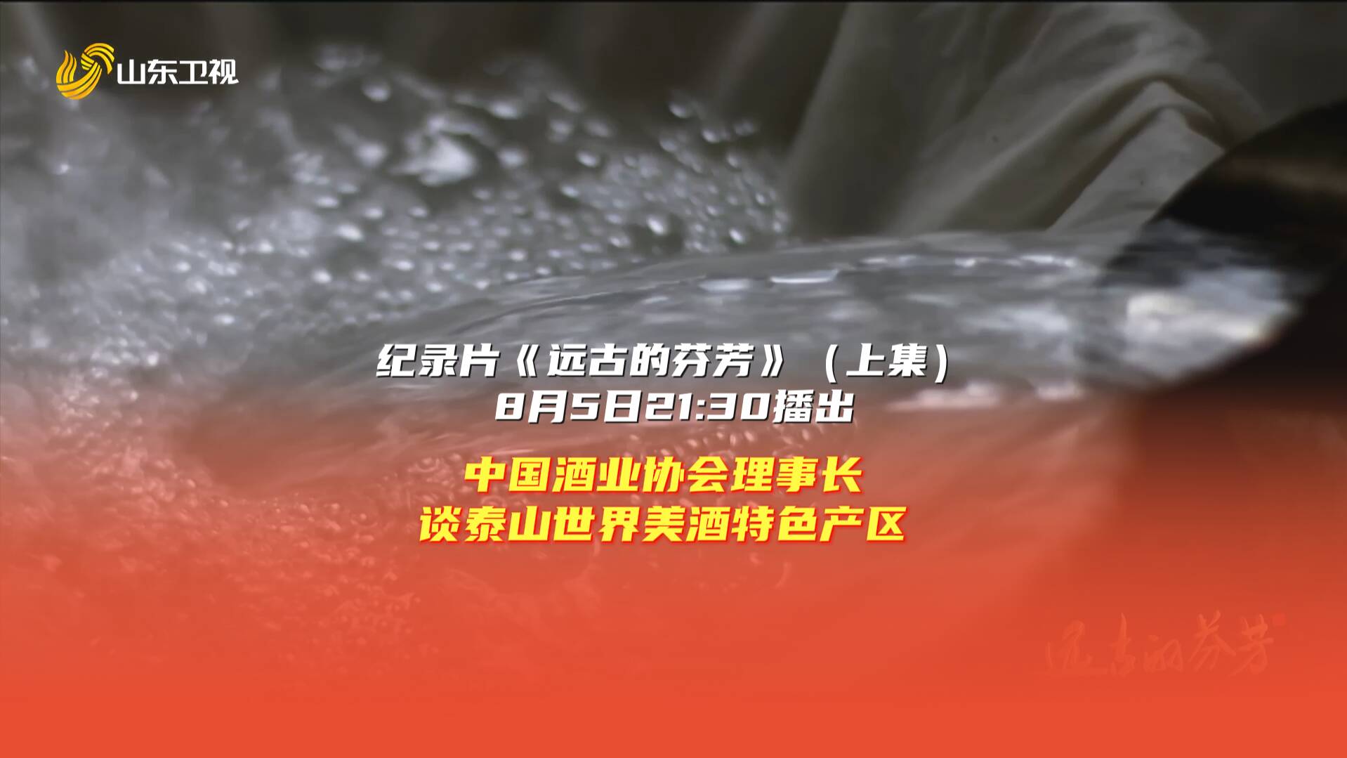 時間留白，老酒藏韻！聽中國酒業協會理事長談泰山世界美酒特色產區