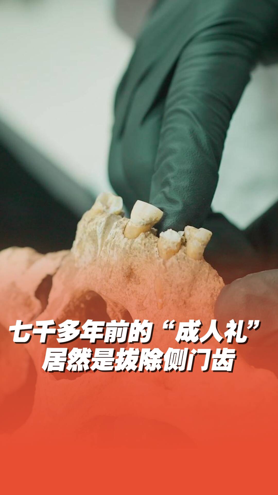 七千多年前的“成人礼”居然是拔除侧门齿？