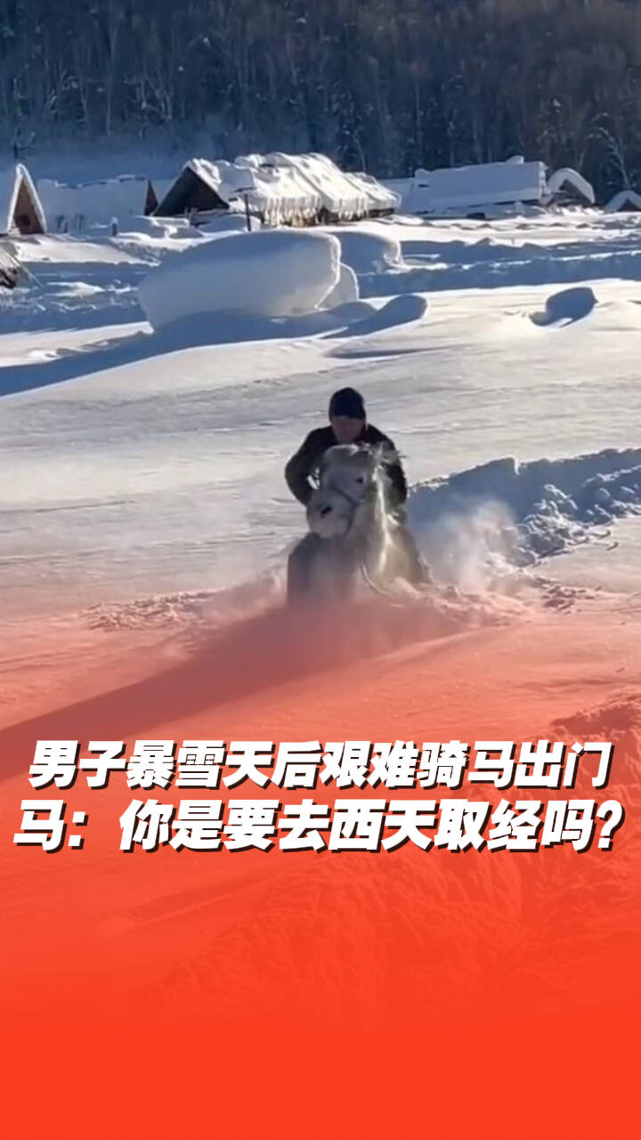 男子暴雪天后騎馬艱難行走，馬：你是要去西天取經嗎？