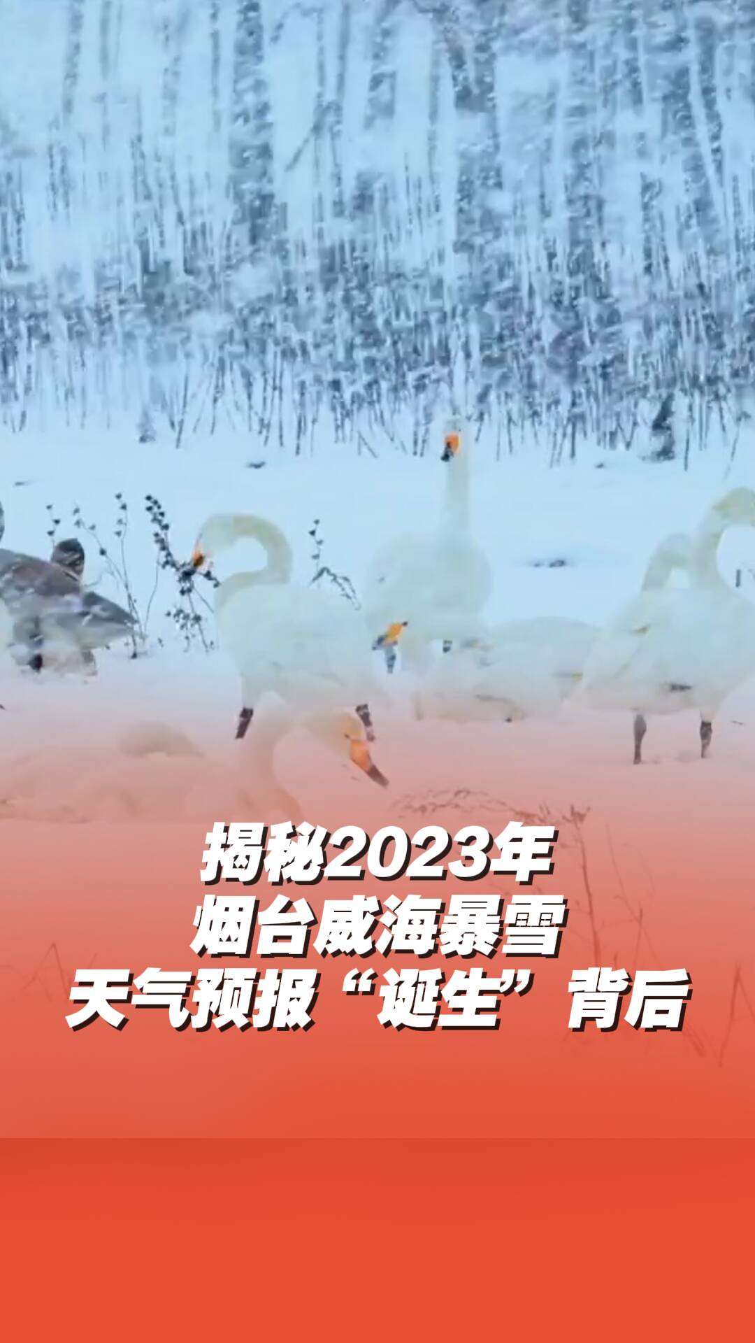 揭秘2023年煙威暴雪天氣預(yù)報(bào)“誕生”背后