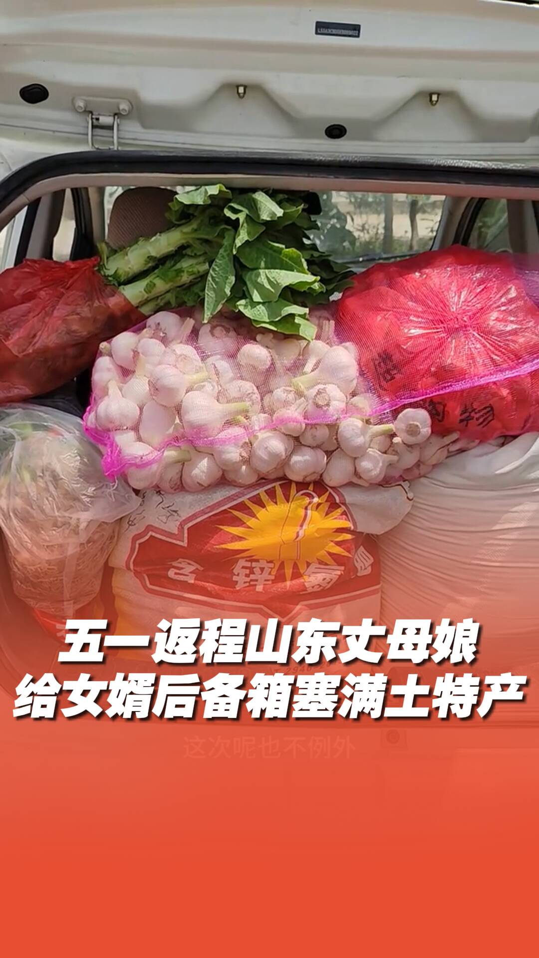 五一假期返程，女婿后備箱被塞滿土特產
