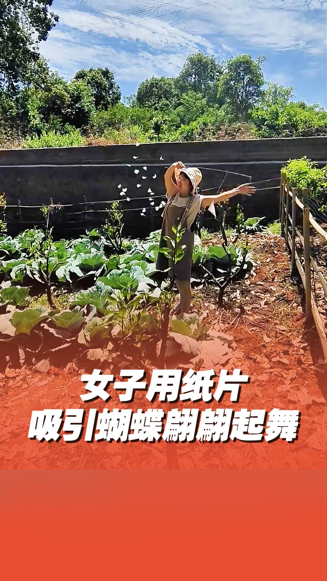 女子用纸片吸引蝴蝶翩翩起舞