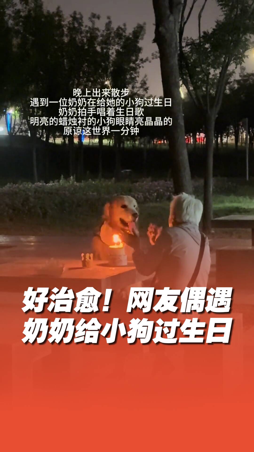 網(wǎng)友偶遇奶奶給小狗過生日