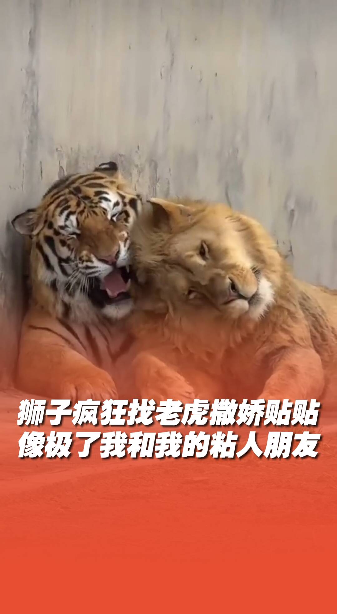 I人是E人的玩具這句話的含金量還在上升！