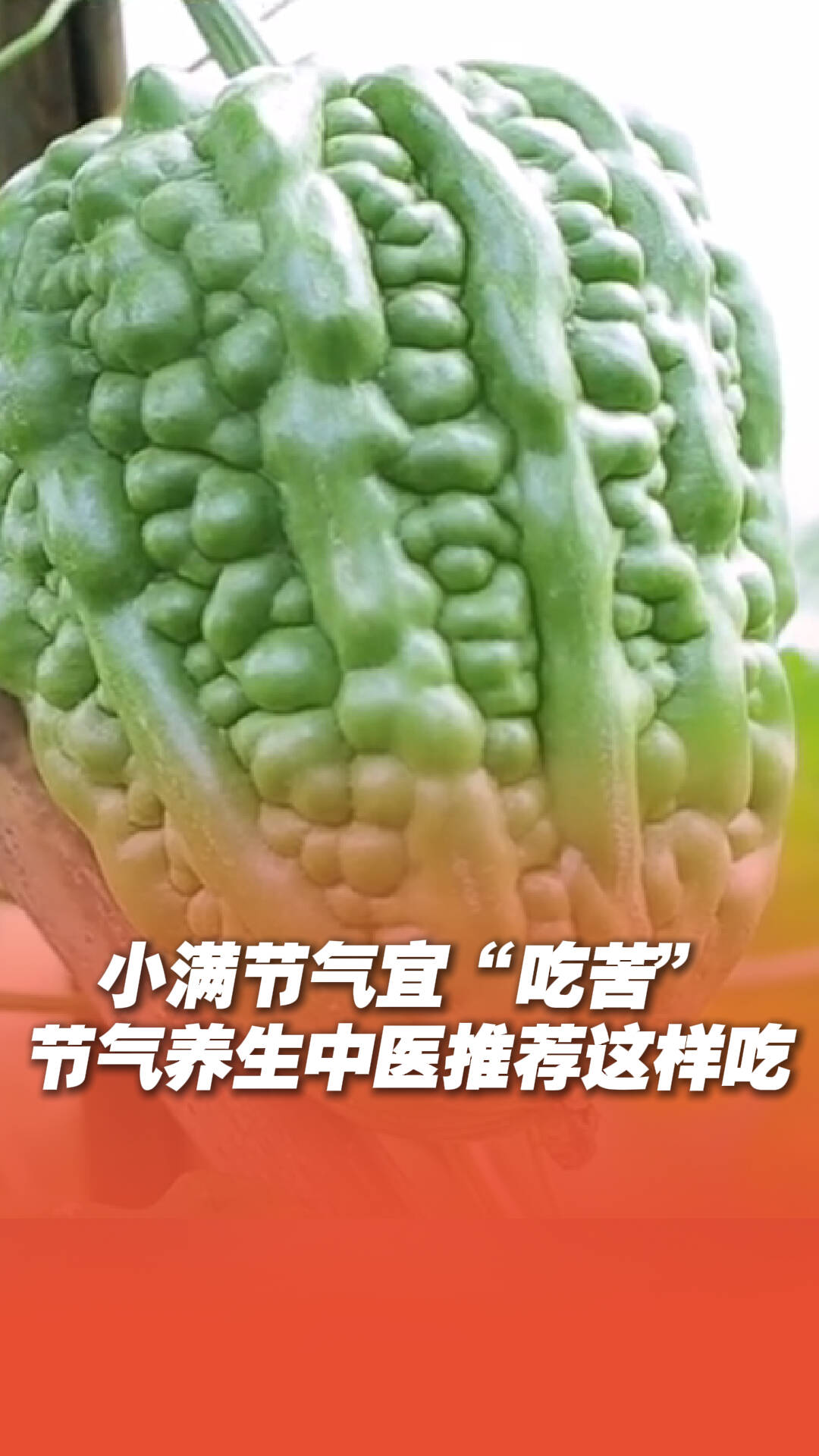小滿節氣宜“吃苦”，中醫推薦這樣吃