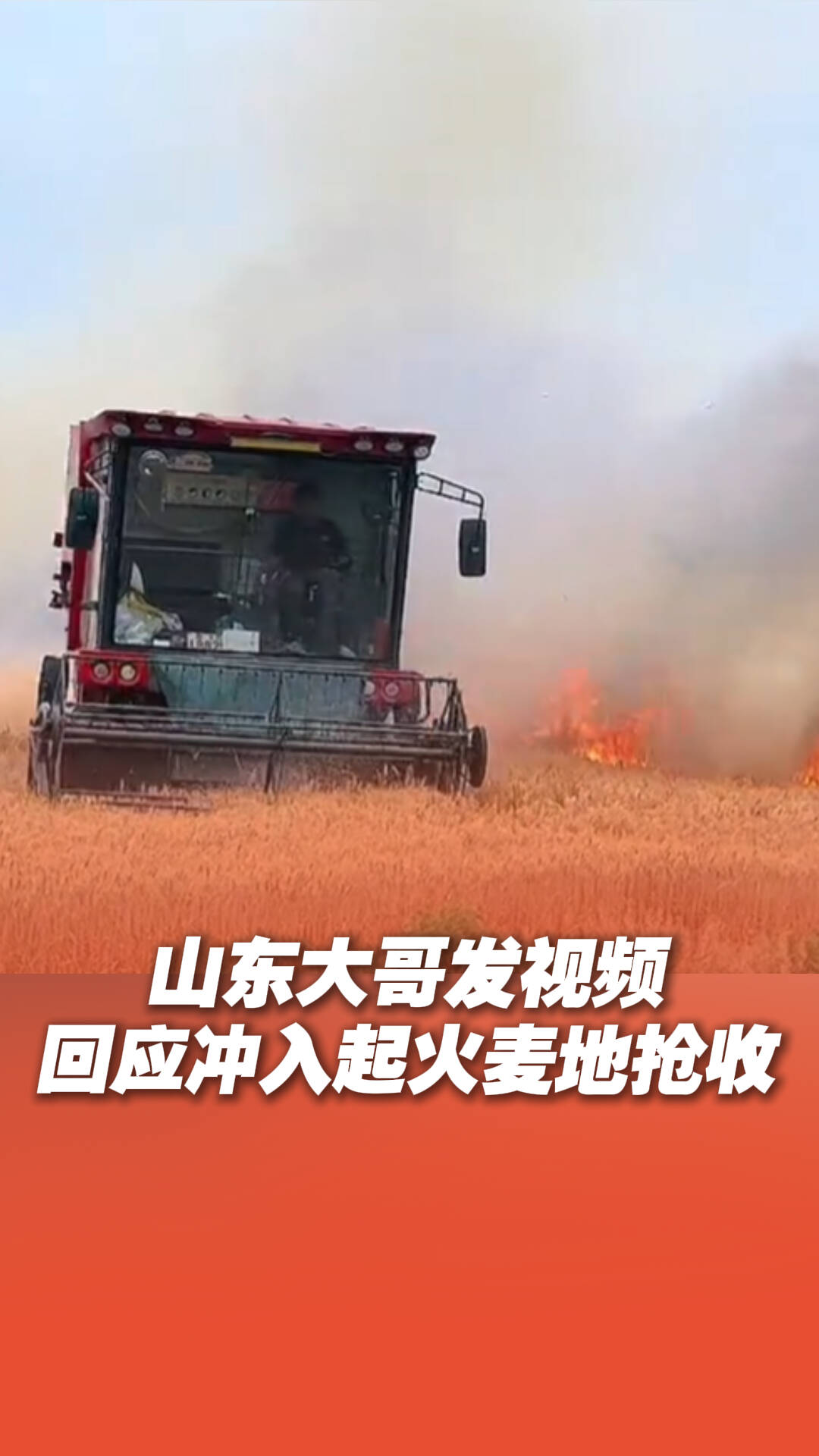 山東大哥發視頻回應沖入起火麥地搶收：下次還會義無反顧伸出援手