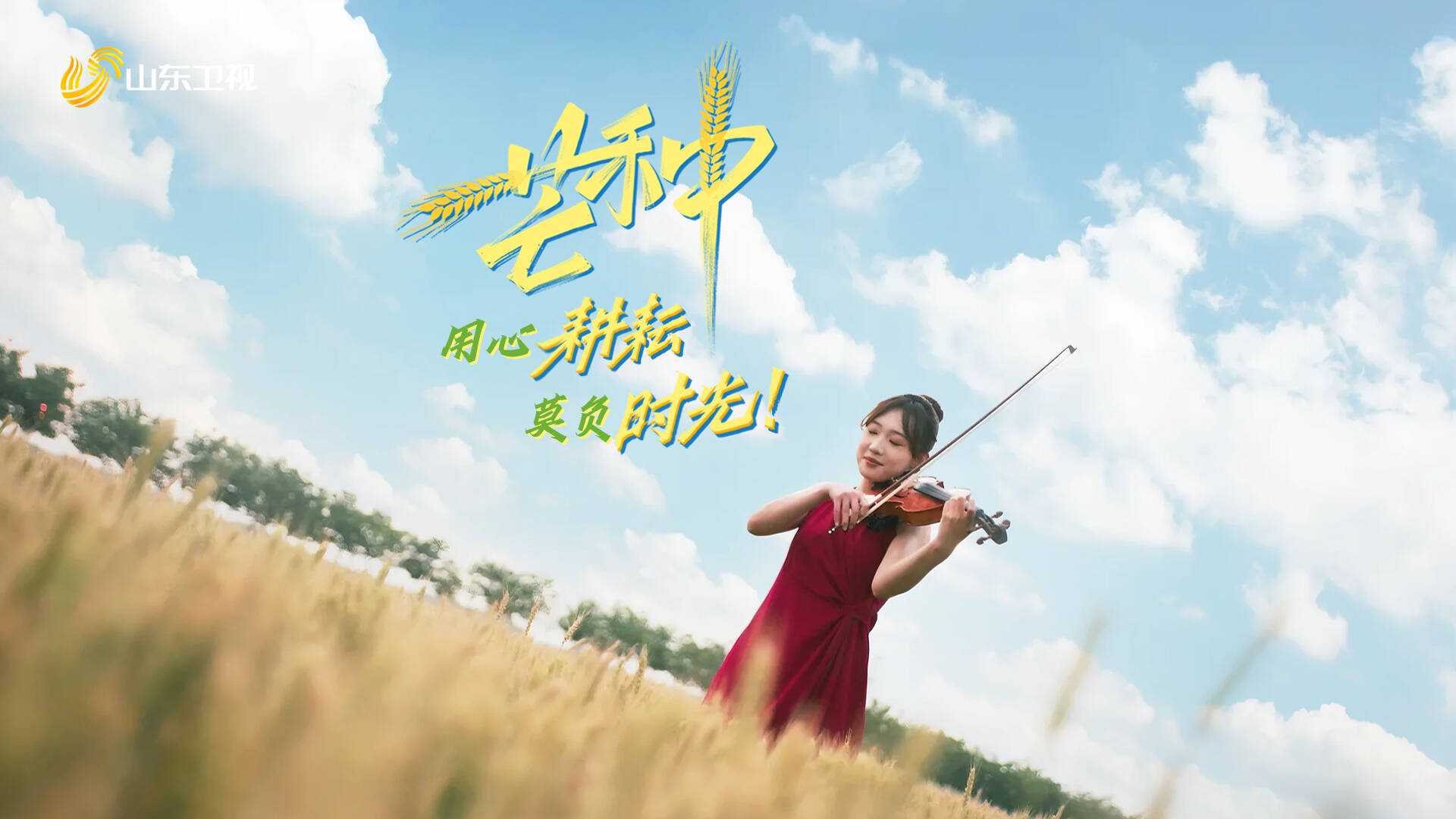 芒種創意短片——用心耕耘，莫負時光