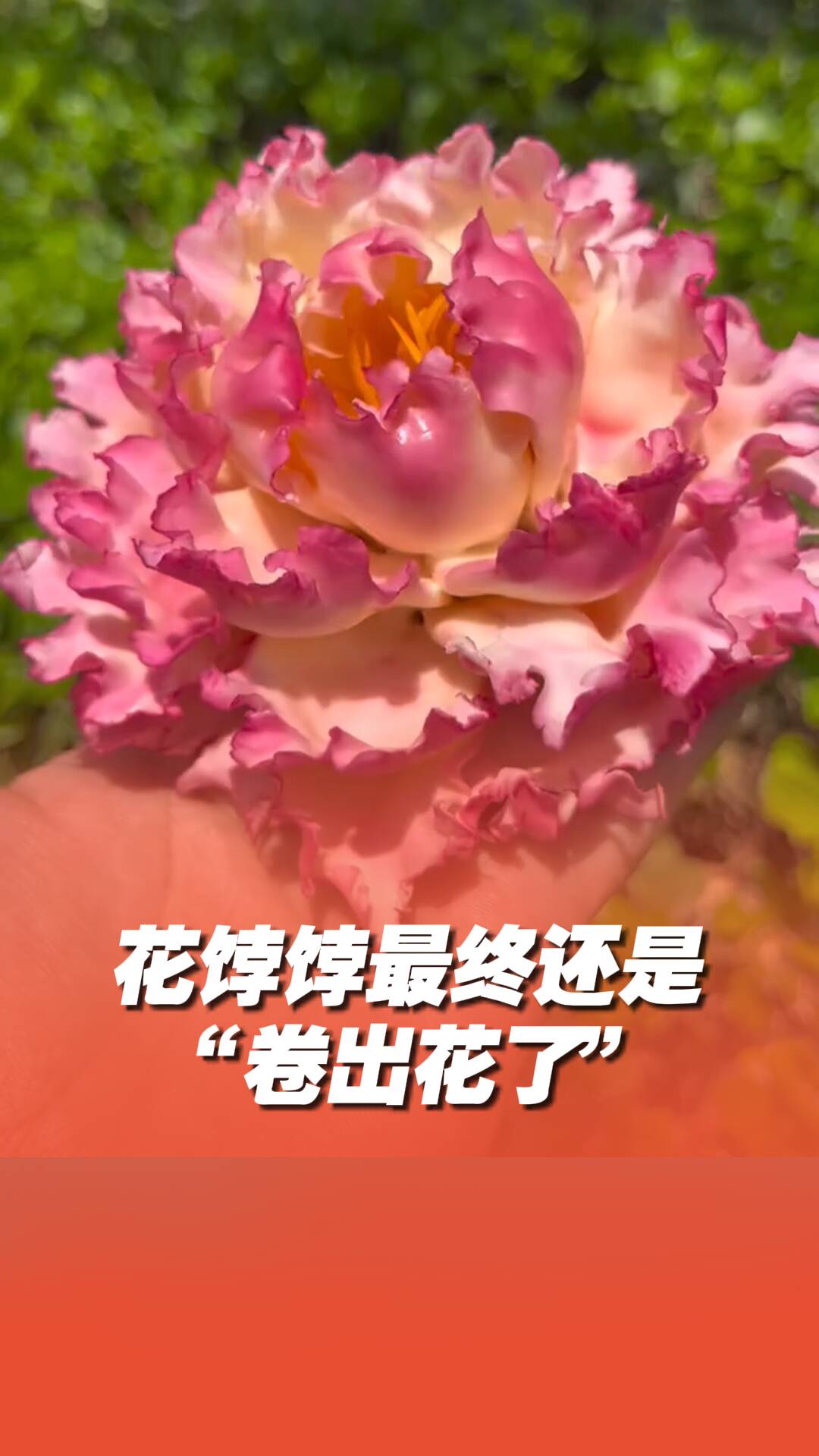 膠東花餑餑最終還是“卷出花了”！