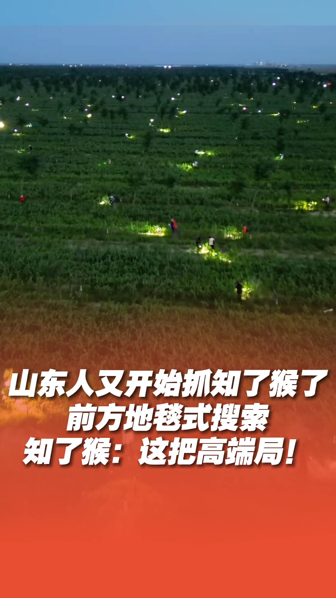 知了猴：這把高端局！