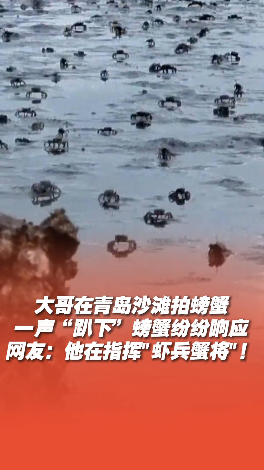 網友：他在指揮