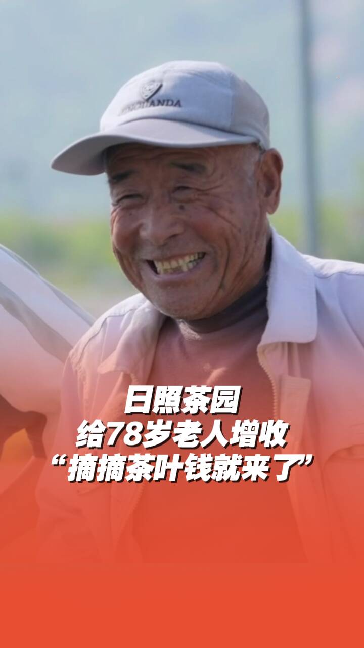 日照茶園給78歲老人增收：“摘摘茶葉錢就來了”！