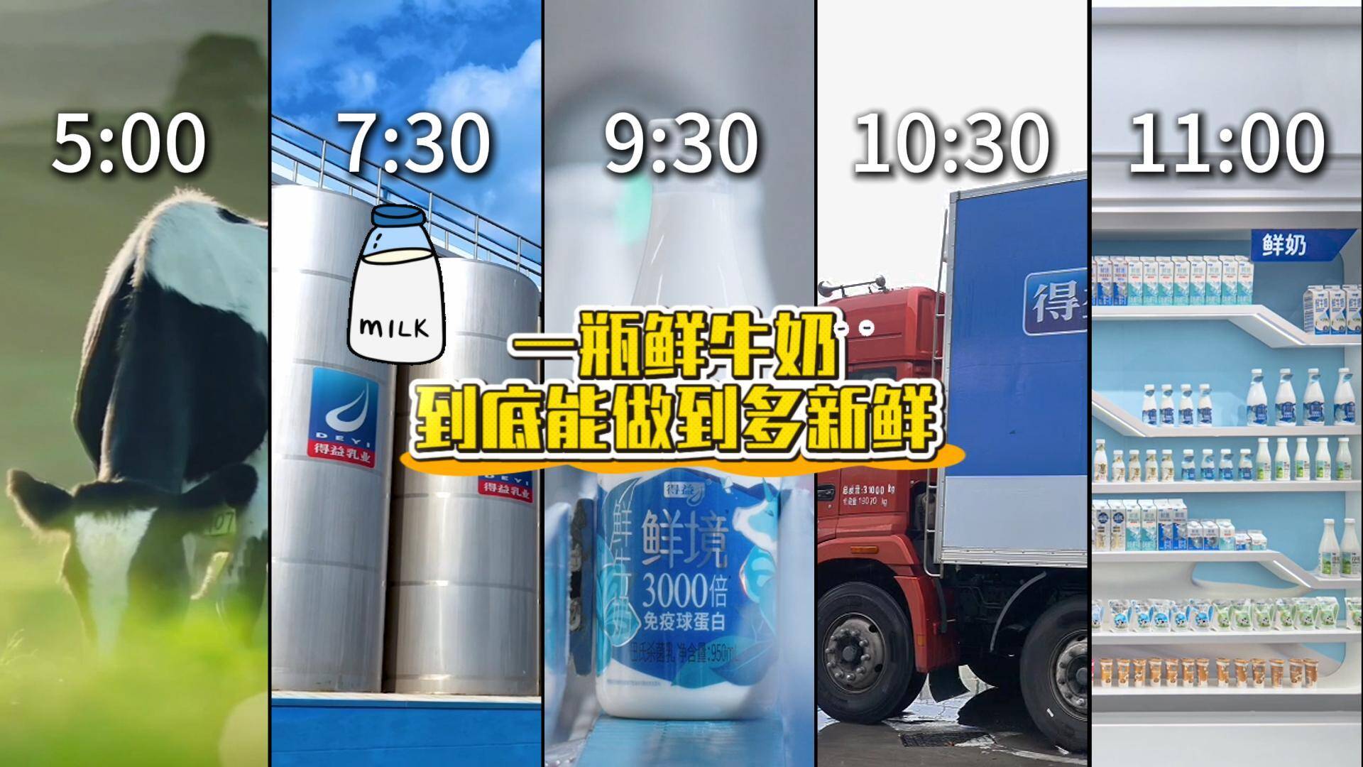 【從牧場到餐桌最快6小時！牛奶原來可以這么新鮮】