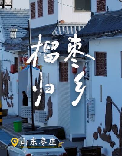 枣庄的“榴枣归乡”：把才华种回家乡，让科技扎根泥土！