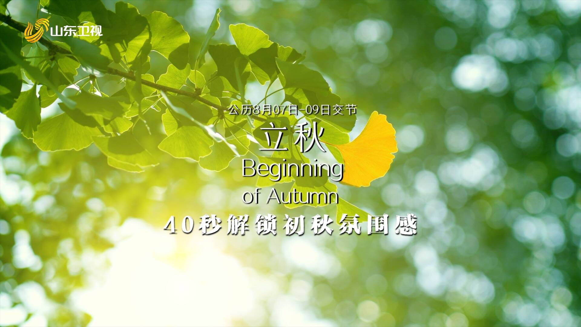 立秋 | 40秒解鎖初秋氛圍感