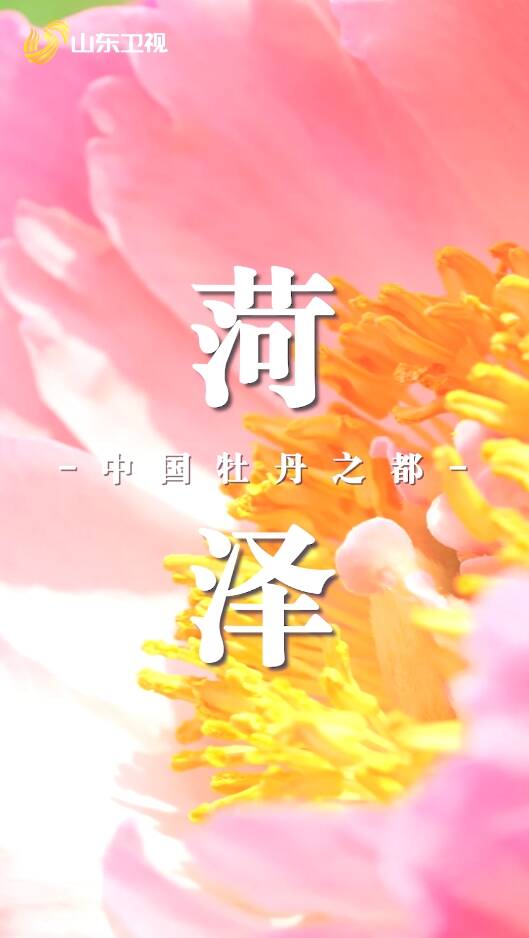菏澤正用牡丹傳播中國美學