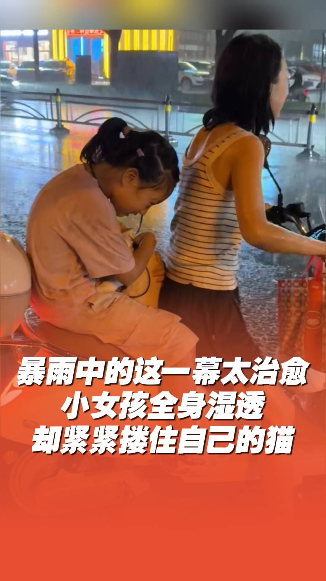 暴雨中的這一幕太治愈了！