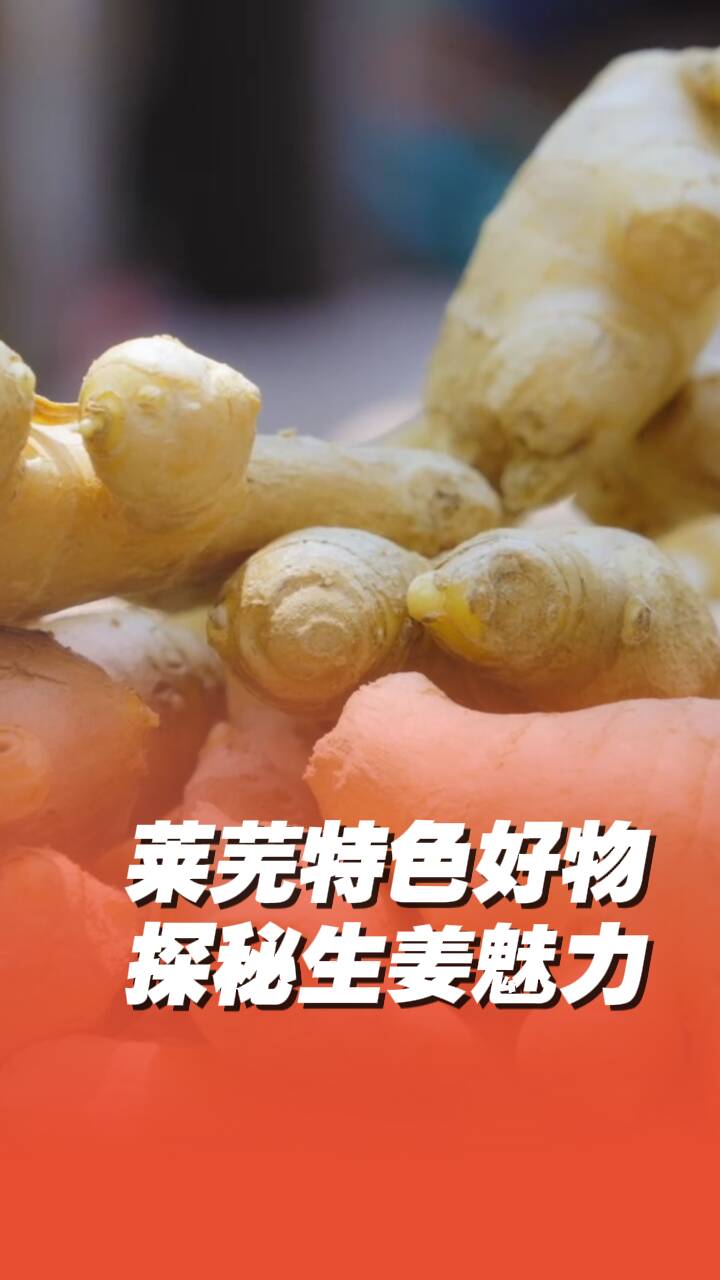 萊蕪小黃姜帶泥地窖儲存，可放五年都不壞！