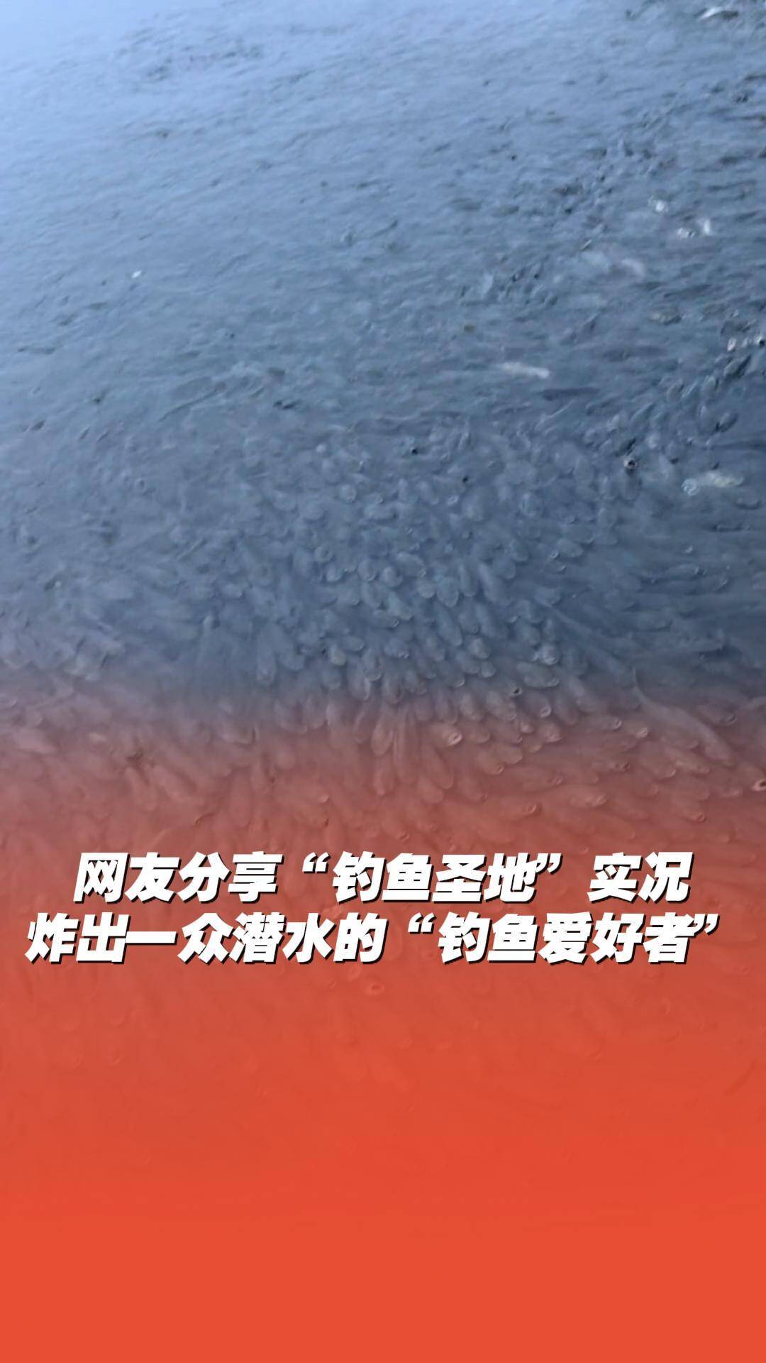 網友分享“釣魚圣地”，炸出一眾潛水的“釣魚愛好者”