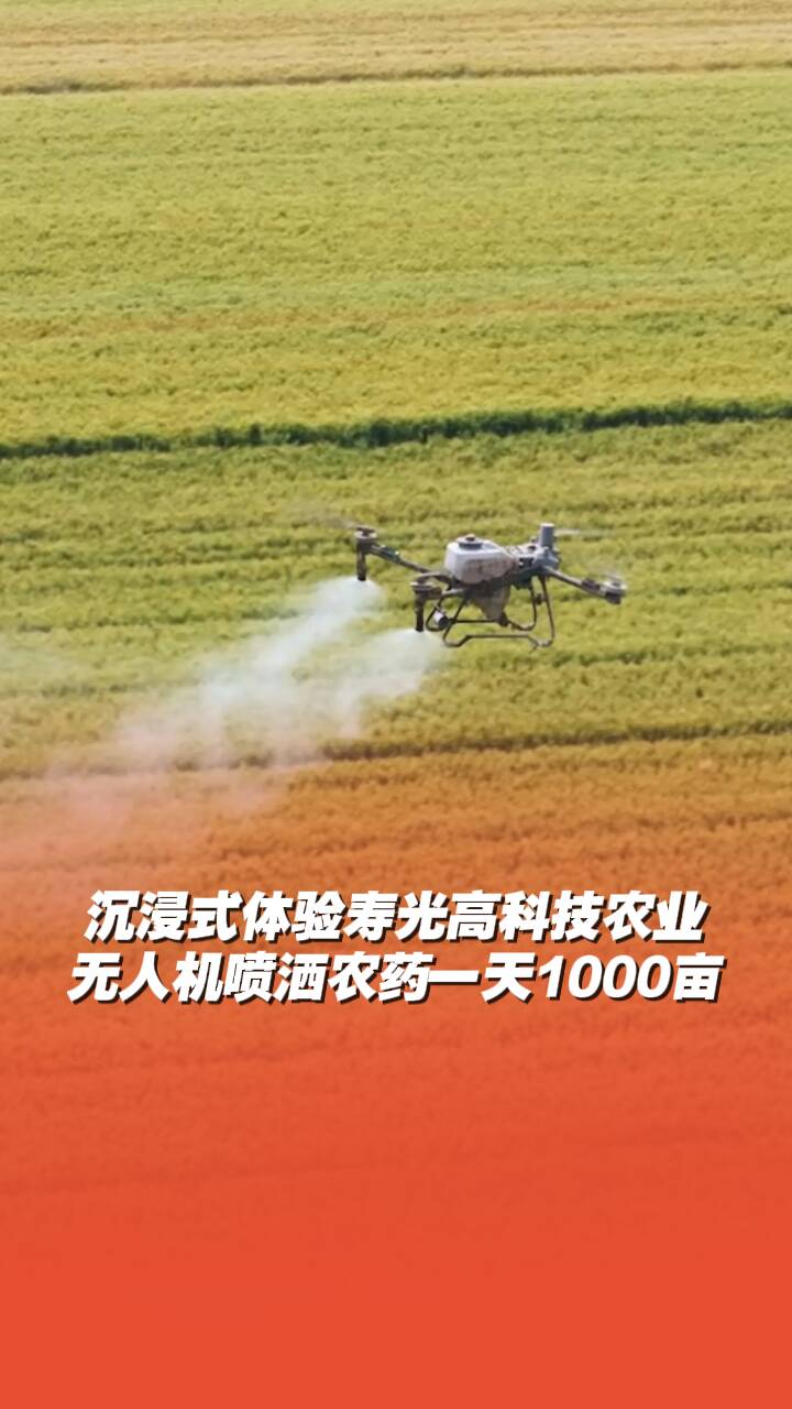 沉浸式體驗壽光高科技農業，無人機噴灑農藥一天1000畝！
