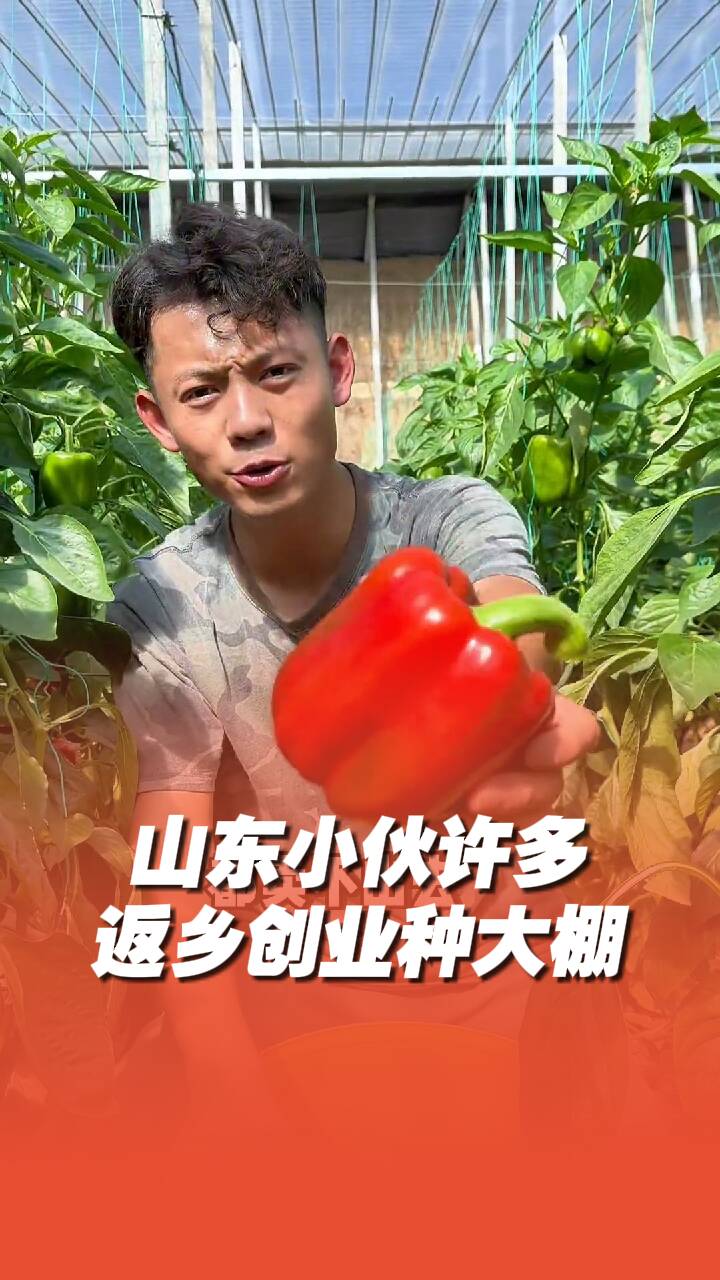 山東壽光小伙返鄉(xiāng)創(chuàng)業(yè)成“新農(nóng)人”，為家鄉(xiāng)帶來了“新流量”！