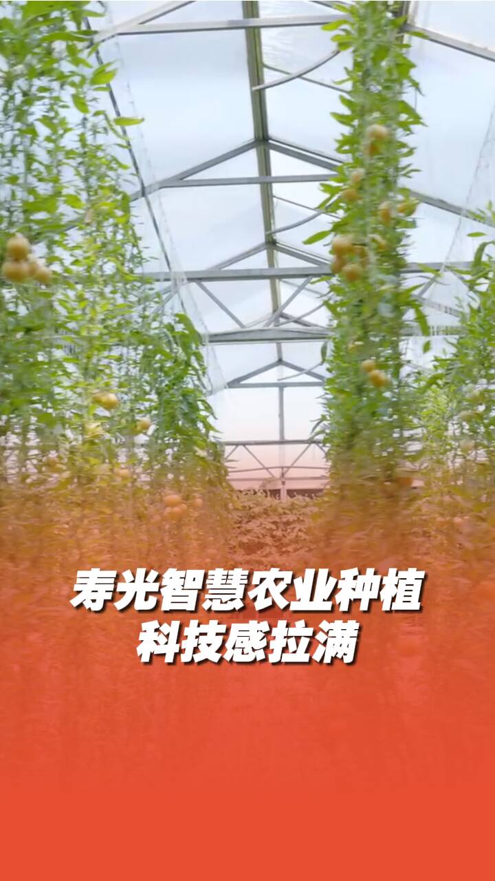 壽光智慧農業種植科技感拉滿！