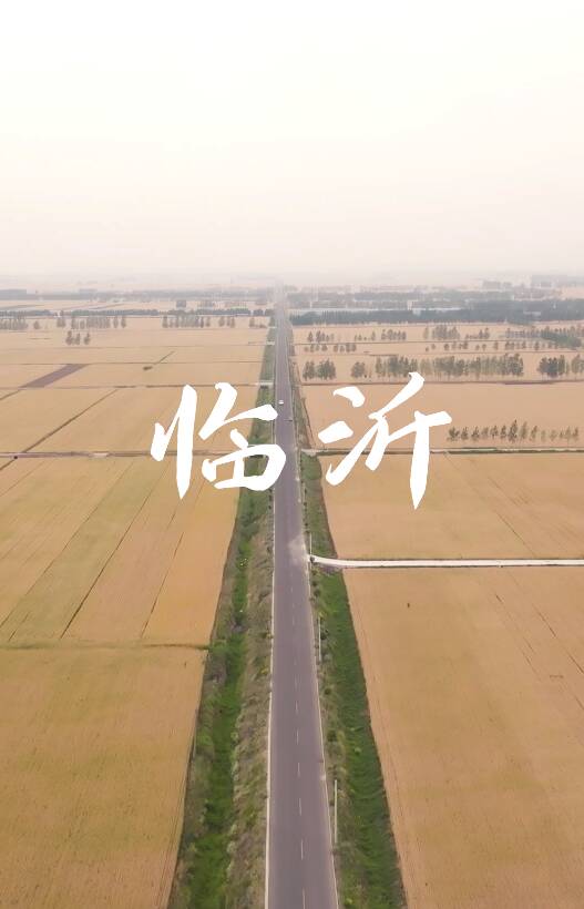 臨沂用“科技犁筆”在萬畝土地上，書寫著新時代的“糧安奇跡”！