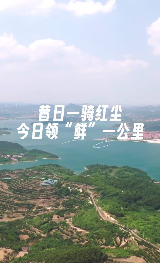 煙臺櫻桃領(lǐng)“鮮”一公里，極速物流保障新鮮度！