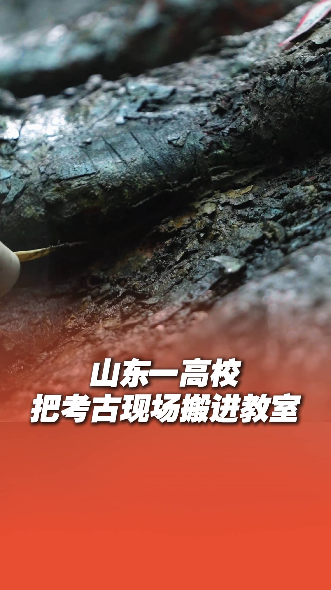 藏在高校的博物館｜這所大學(xué)直接把考古現(xiàn)場(chǎng)搬進(jìn)教室
