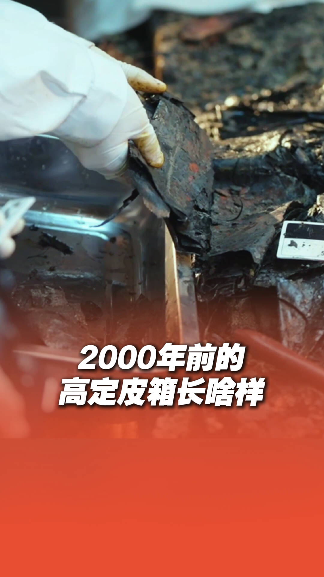 藏在高校的博物館｜2000年前的高定皮箱長(zhǎng)啥樣？