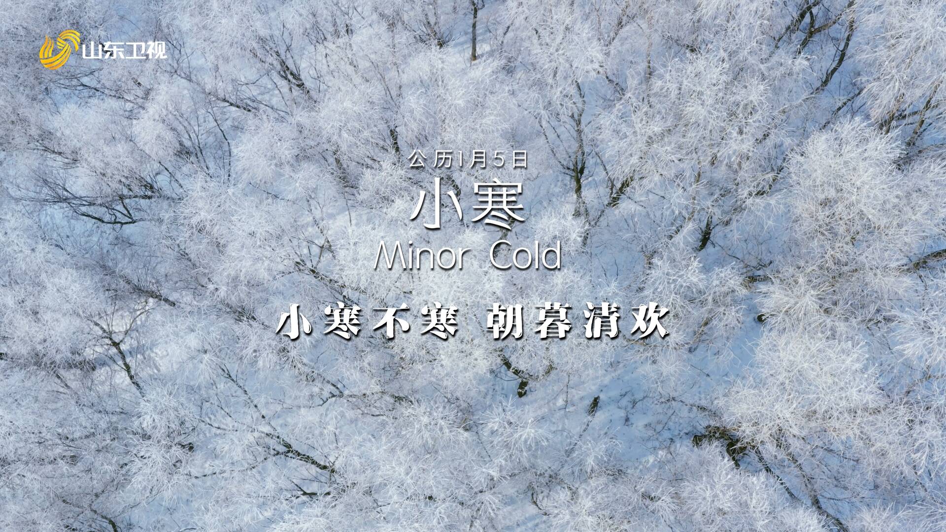 小寒 | 小寒至，花信始