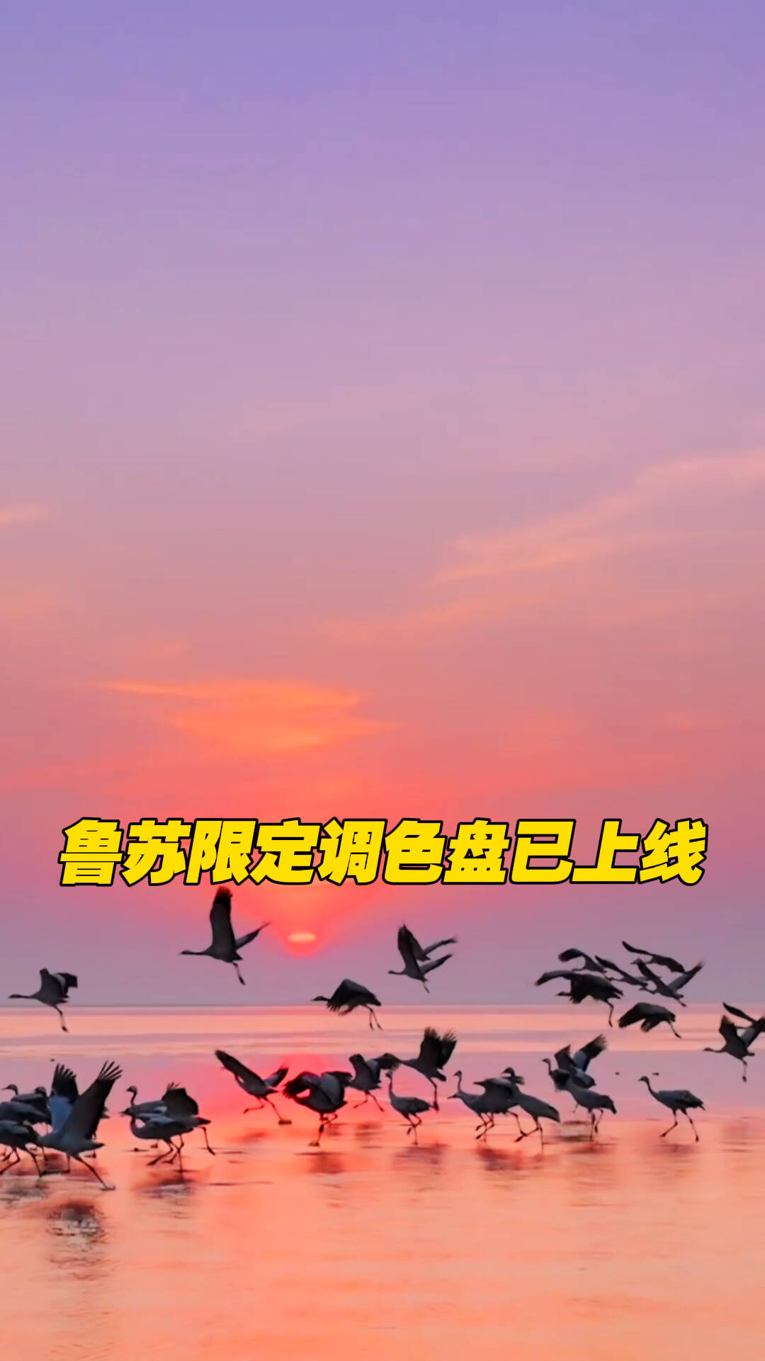鲁苏限定调色盘已上线