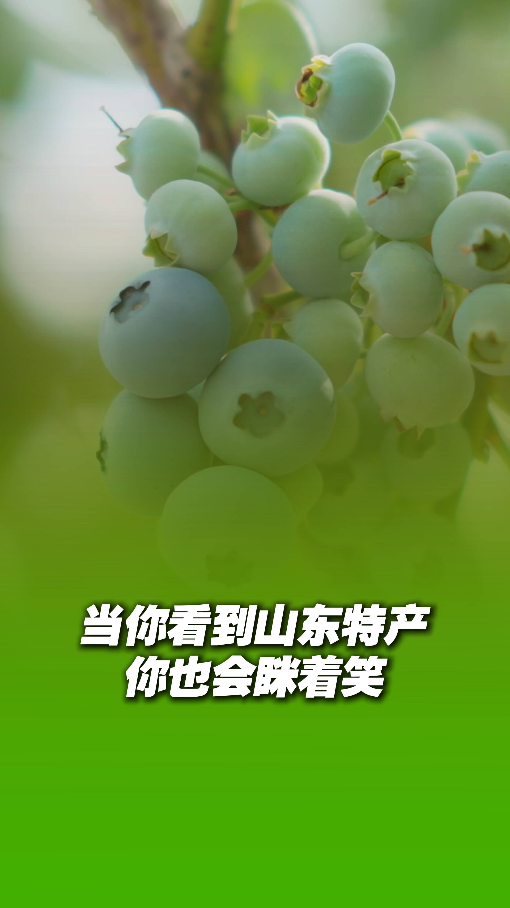 当你看到山东特产，你也会眯着笑！