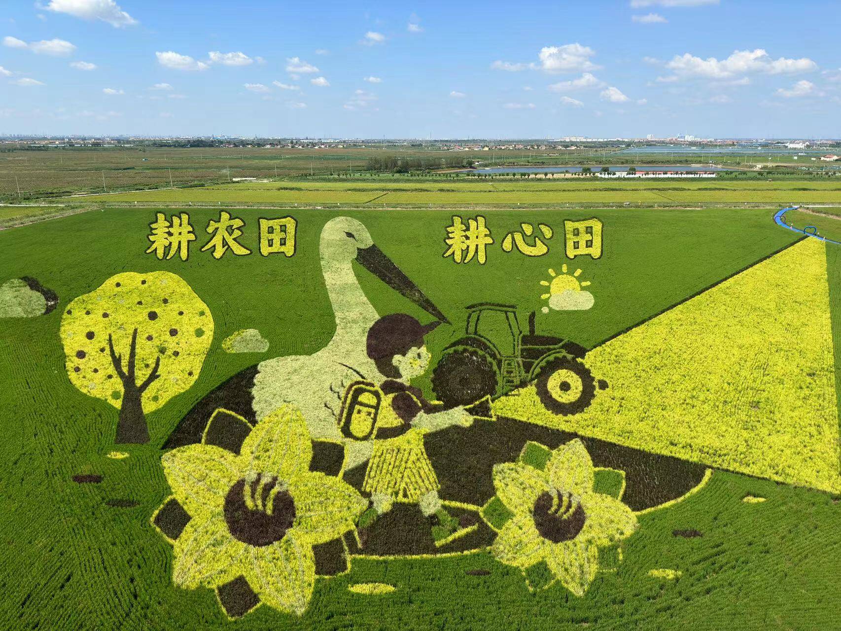 来永安稻田画景区,感受"粒粒皆辛苦"
