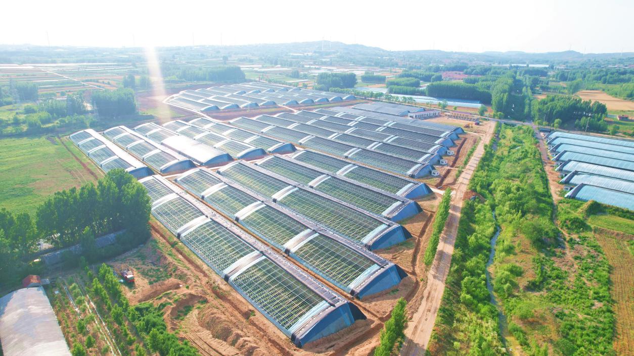 “福彩圆梦・益路花开”：临朐县柳山镇的乡村振兴新画卷