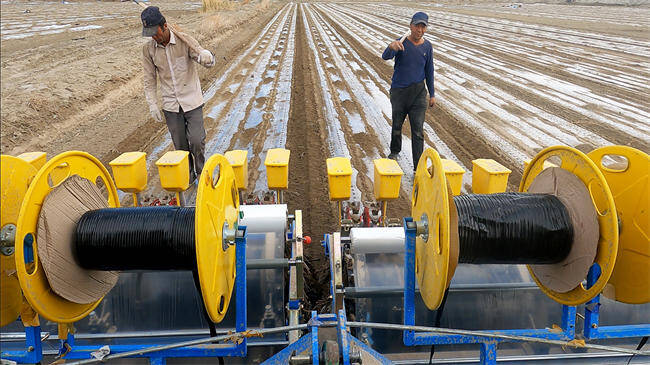 农机如同有了"眼睛",按照设定路线自动驾驶,一次性完成铺膜,铺滴灌带