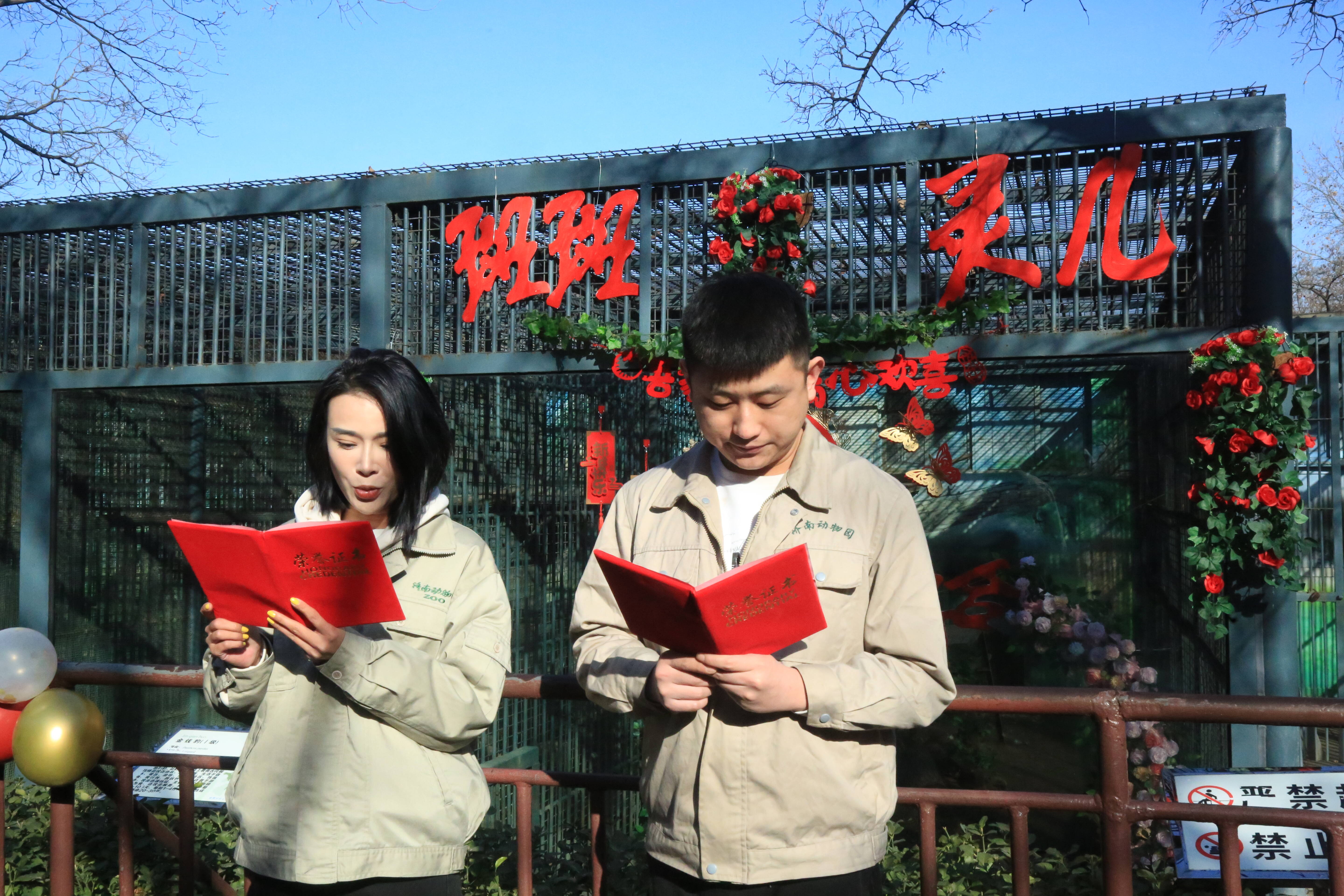 济南动物园为金钱豹举办浪漫婚礼