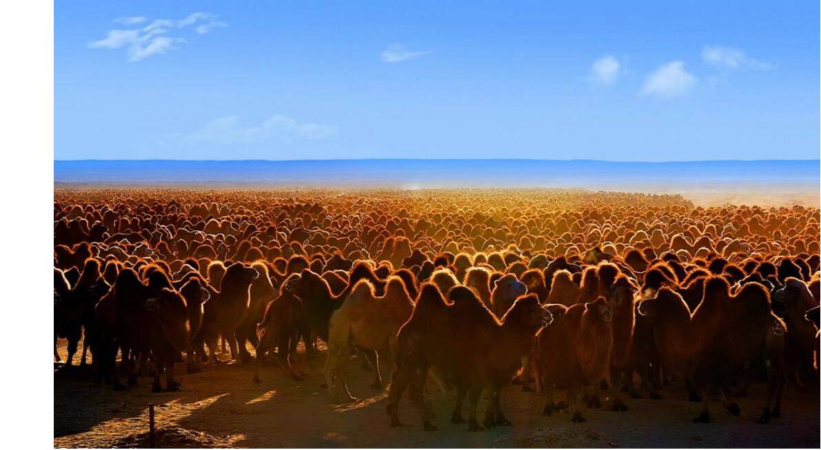 高质量发展看中国走进五彩斑斓之地阿拉善盟