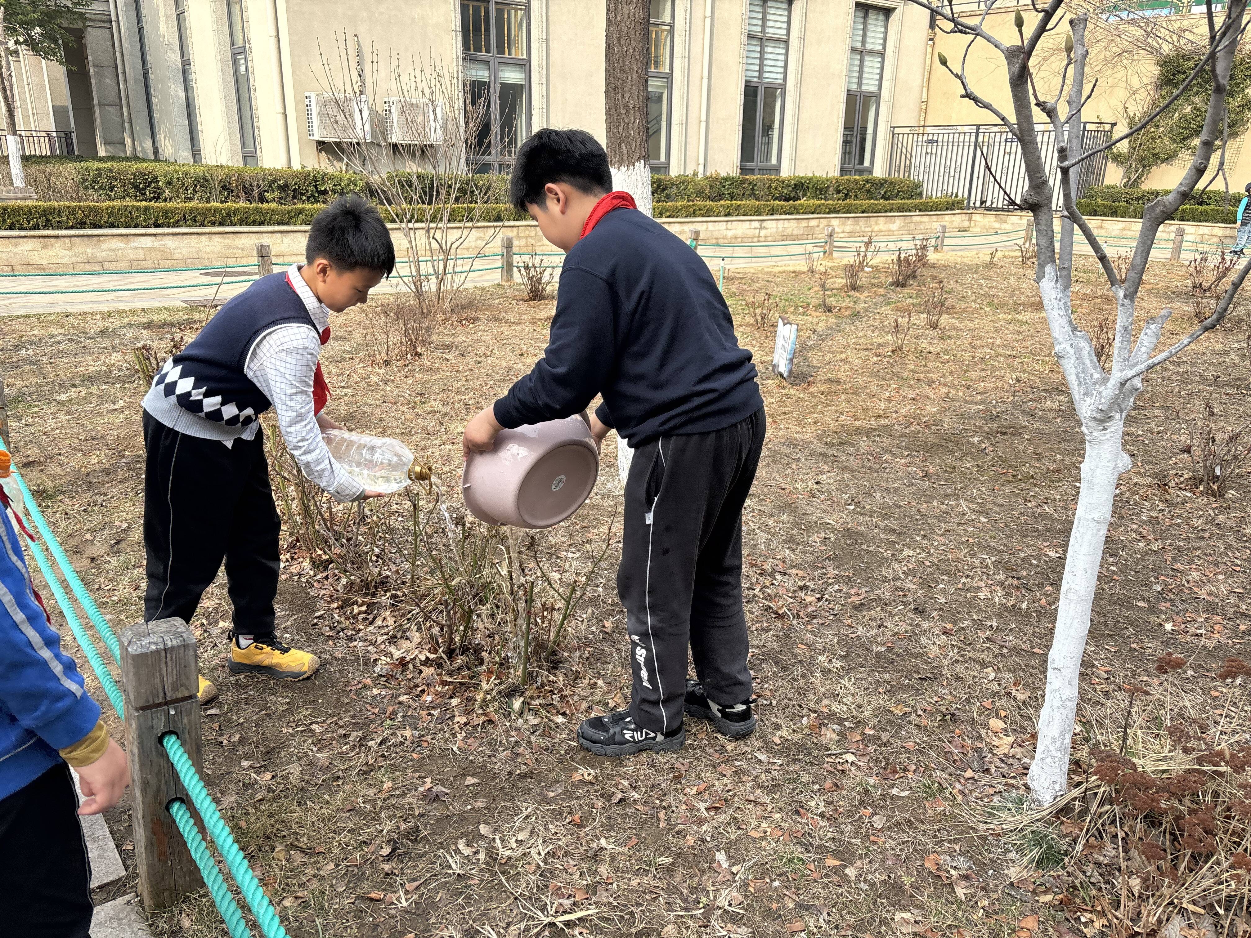 春光满怀,共"树"未来