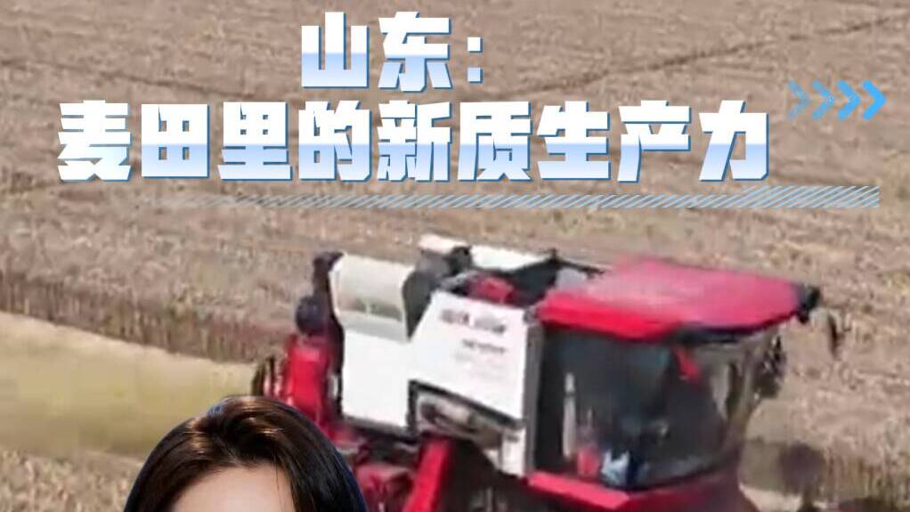 山东:麦田里的新质生产力