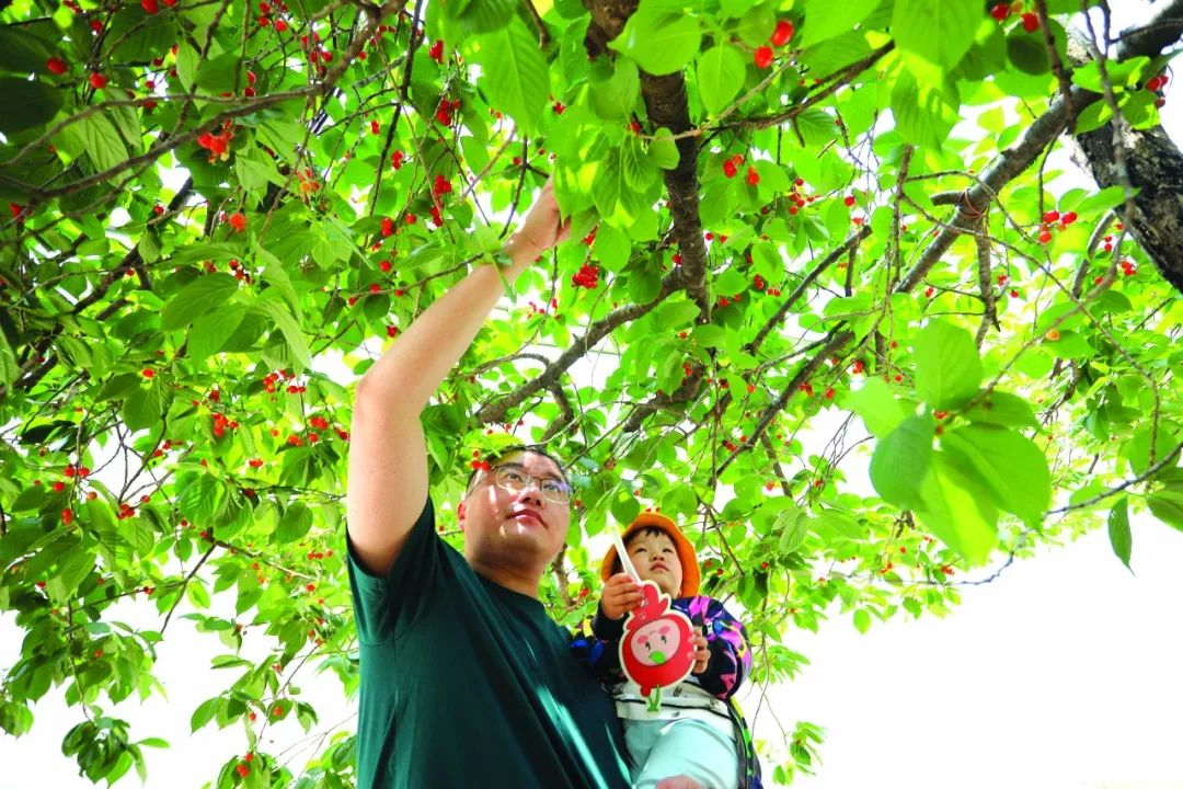 文登区甜蜜初夏昆嵛山在等你