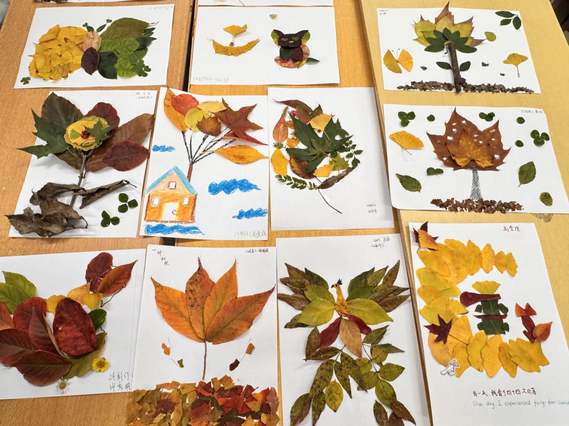 习近平新时代中国特色社会主义思想研究社举办“秋韵如画，落叶成诗”——落叶贴画创意活动