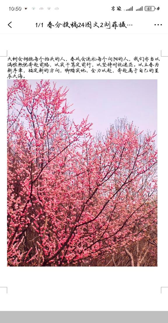 行知社举办“春拾万象·赴暖而行”春分主题征集活动