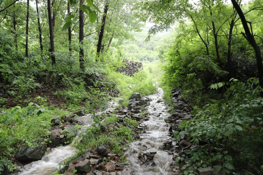 鄒平市臨池鎮空山新雨雲霧濛濛來這裡靜享山林裡的輕氧生活