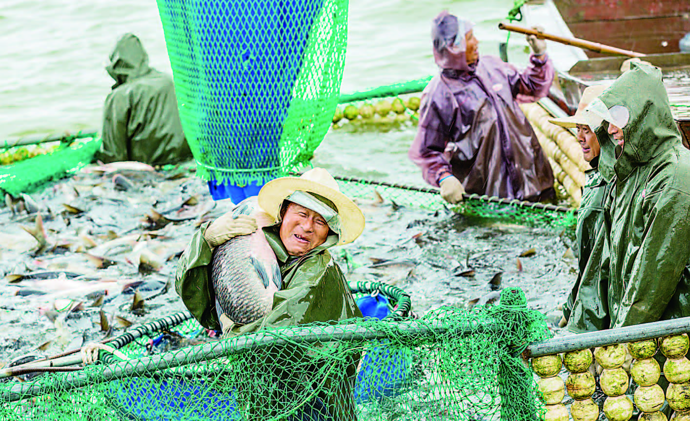 邹平:生态水库捕鱼忙 海报新闻