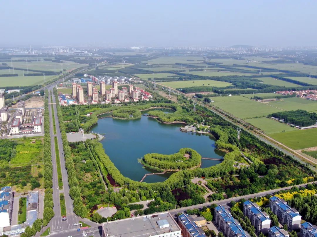 邹平市明集镇邂逅明湖夏日别致风景