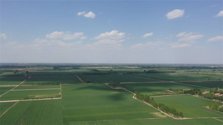 邹平市九户镇狠抓重点项目坚持绿色发展