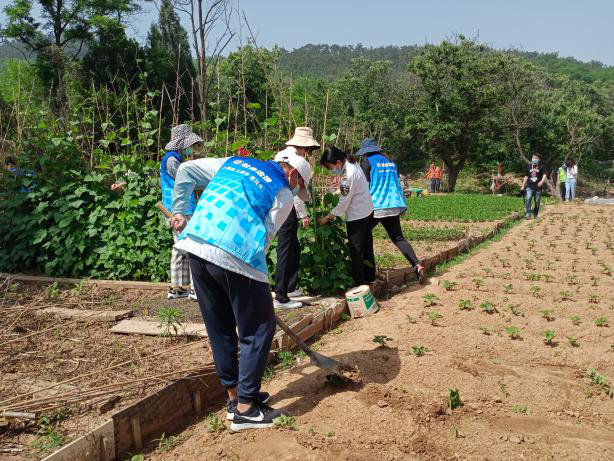 我愛青島我有不滿我要說話民聲傾聽主題活動開荒種地危害大切勿存有