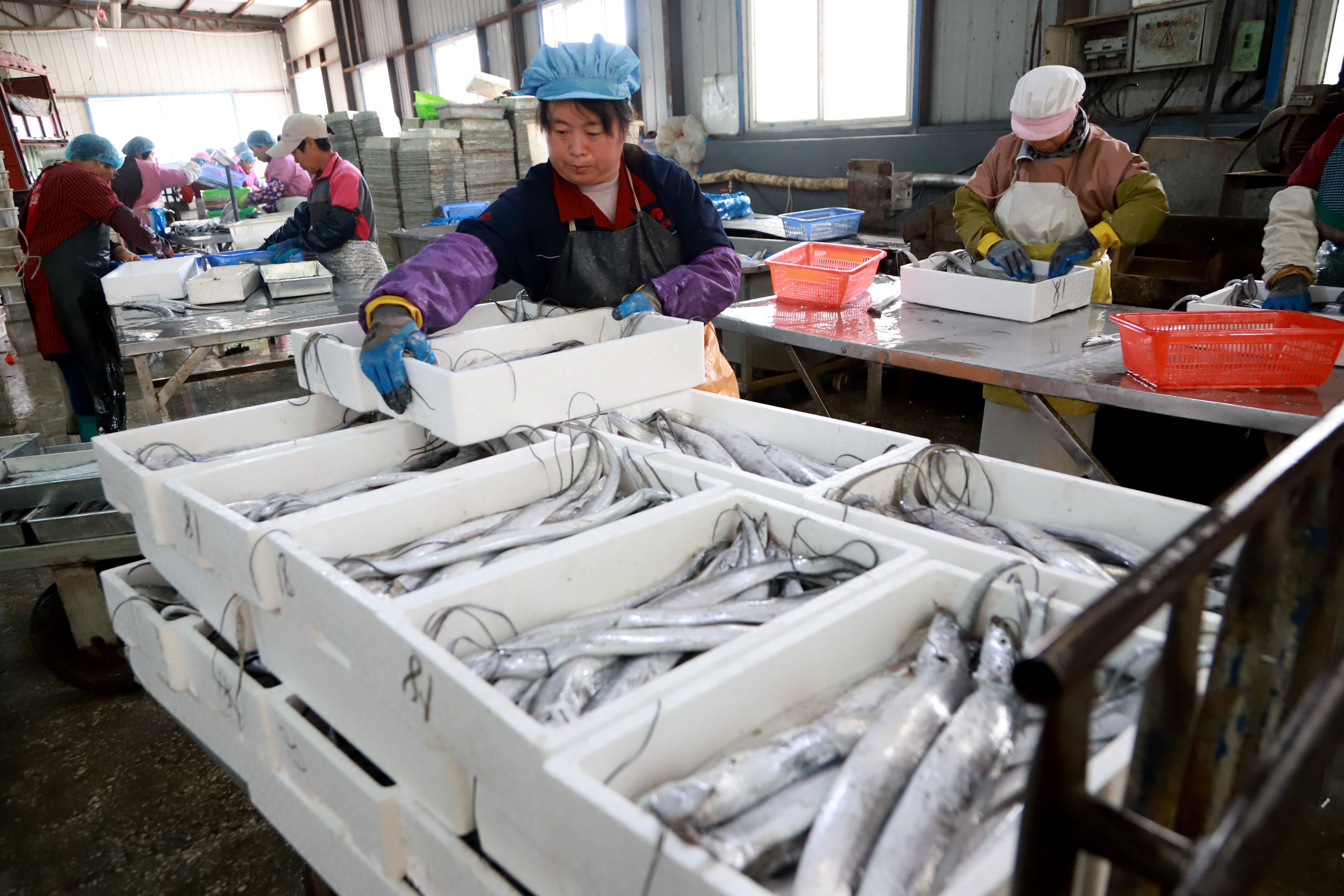 中洋鱼天下第三工厂投产运营-江苏中洋集团股份有限公司
