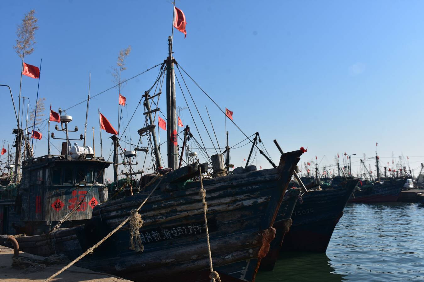 为进一步加强全镇7处渔港24处码头的管理,确保码头秩序井然,琅琊镇